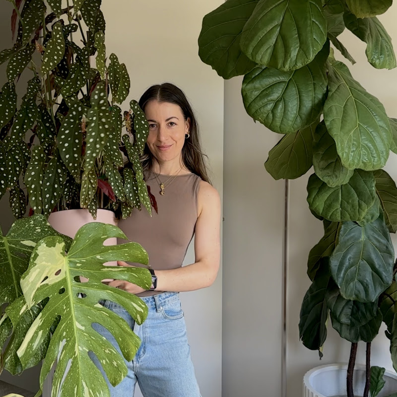 Jacintha | Pass That Plant