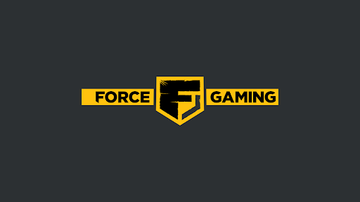 Force Gaming banner