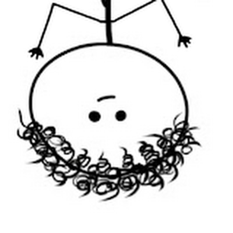 Chill Dude Knowledge