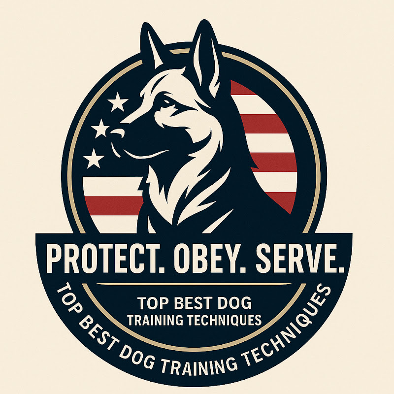 top best dog training techniques