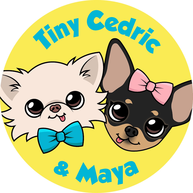 Tiny Chihuahua Cedric