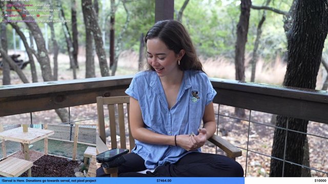 NEW FELINE AMBASSADOR REVEAL🐈 @alveussanctuary