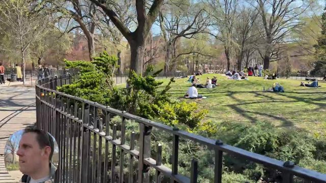 DOGGO POP UP?!?!! Manhattan Doggos - Mocktail Review After - Live NYC