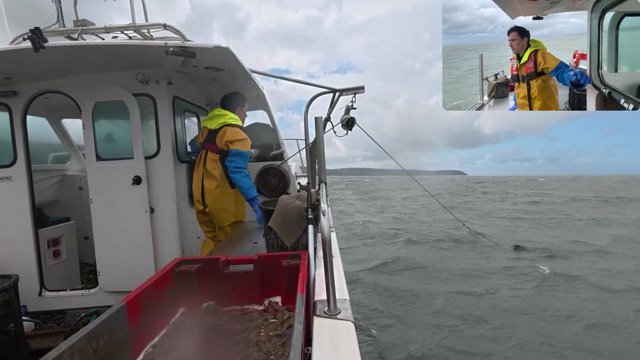 Prawns!!  | Solo Fisherman | All Commands type !command