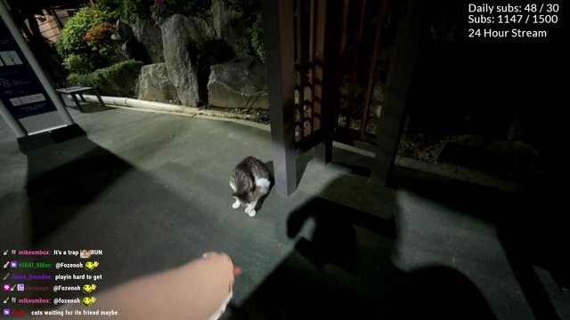 Showing you my hidden gems in seoul! | !VODS | !YT | !POBOX | !GAMERSUPPS | !DISCORD