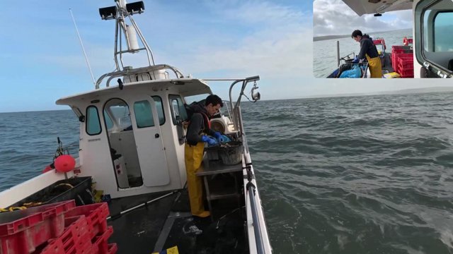 Prawns!!  | Solo Fisherman | All Commands type !command