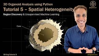 3D Organoid Analysis - Tutorial 5 - Tumor Organoid Heterogeneity Analysis