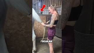 Bikin Mewek! Momen Perpisahan Cewek Ini dengan Kuda Kesayangannya 😭🐴