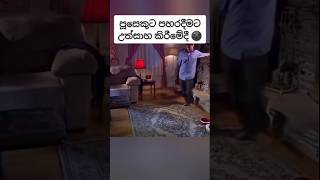 පූසෙක්ට ගහන්න ගිහින් 💀😰 #sinhala #horror #horrorstories #creepy #creepystories #documentary #facts