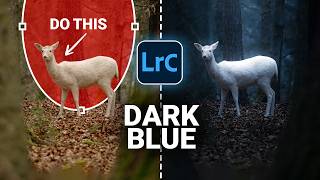 From FLAT to CINEMATIC: Editing a DARK Photo in Lightroom!