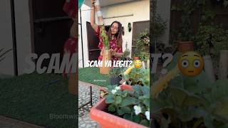 Online Plants Scam… or Worth It? 😳🌿 #gardening #youtubeshorts