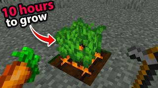 Can you Actually Beat China's Hardest Minecraft Mod?