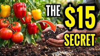 Stop Buying $60 Raised Bed Soil — Mix This for $15 Instead