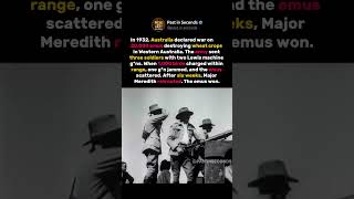 Australia Sent the Army Against Emus—And Lost