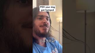 POV your dog got humped #shorts #comedy #funny