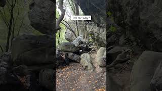 Why would anyone visit Big Sur?!?