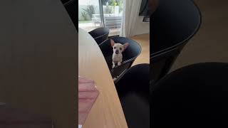 DID YOU NOTICE? 😱