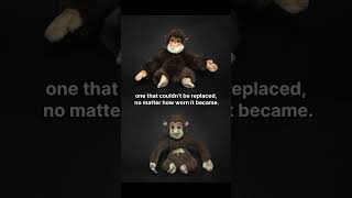 Too Much Love by Katja Kemnitz. #photography