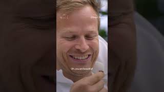 When was the last time you thanked a bee? #SecretsOfTheBees