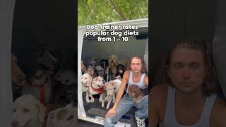 Popular dog diets 🐶🍗 #dog #dogdiet #doghealth
