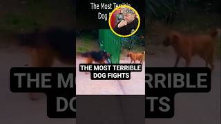 Looks like aggression but it is frustration. This happens more than you think.