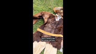 The earliest murder mystery?