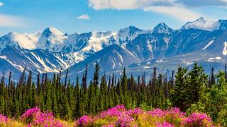 Beautiful Relaxing Music, Peaceful Soothing Music, "Canada's Yukon Wilderness" by Tim Janis