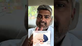 Why You Shout at Your Child (And Regret It Later) – Brain Science Explained Dr.Santosh Yadav