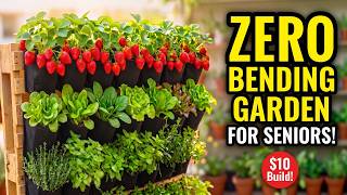 Forget $150 Raised Beds: Build This $10 Pallet Garden (No Back Pain!)