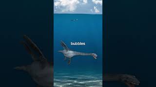 Could Elasmosaurus Survive The Modern Ocean?