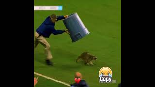 777 Accuracy in Football 🤣🥀