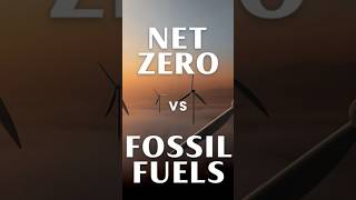 How Renewable Energy Could Solve the Fuel Crisis