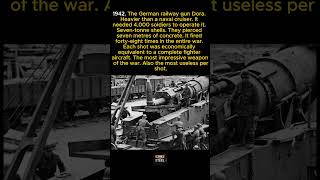 The largest cannon in history needed 4,000 soldiers and fired 48 times in the entire war
