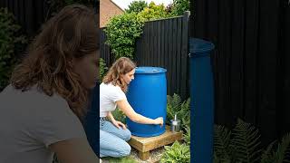 Save Money on Your Water Bill 💰🌧️ This Genius DIY Changes Everything! (USA Garden Hack)