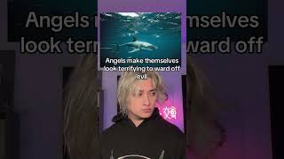 Me And My Homies HATE Dolphins