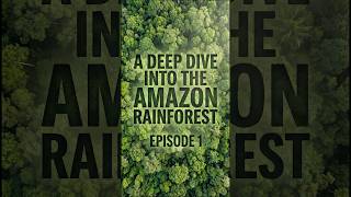 Inside the Amazon: The Largest Rainforest on Earth