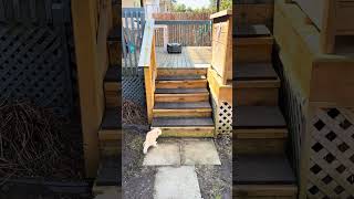 First Shirtless Garden Tour Of 2026 😉