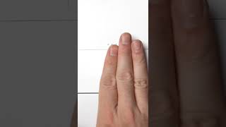 20 year old Apple laptop #macbook #apple #editor #videography #oldtech #gaming