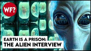 The Roswell Alien Interview | Your Soul Has Been Here Thousands of Times
