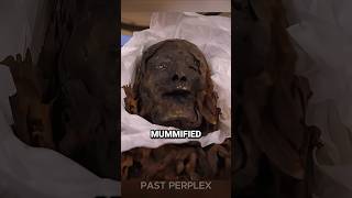 They Are Scanning This Ancient Mummy Using a CT Scanner #shorts