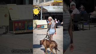 ❌Walking 💯the dog🐕🇩🇪#malinois #becgie#germanshepherd #doglove #pets #dog #dogtraining #k9