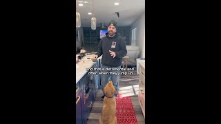 How to Fix Counter Surfing