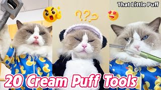 20 Must-Have Cream Puff Tools You’ll Love 🍰🔥| That Little Puff