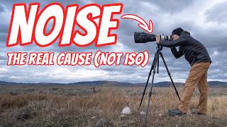 ISO Does NOT Cause Noise... Here's What Does