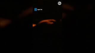 Watch as US Marines seize Iranian cargo ship