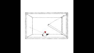 ?? Pls help #art #animation