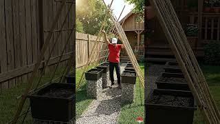 My Neighbors Thought This Was Crazy… Until It Worked 🤯  #garden