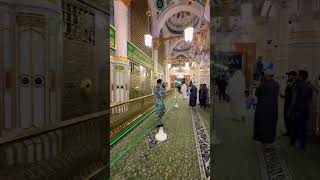 #madina #sallam  #islamicvideo #saudiarabia #holy #hajj #travel #viralvideo #trending