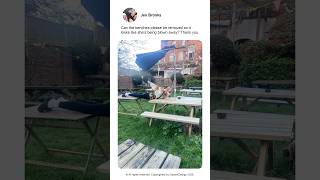 As requested. 💨👧⛱️#photoshop #edit #request #funny #troll