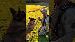 This K9 Just Jumped From The Sky 😱🪂 #k9  #hardstyle #dog #k9unit #malinois #viral #nature